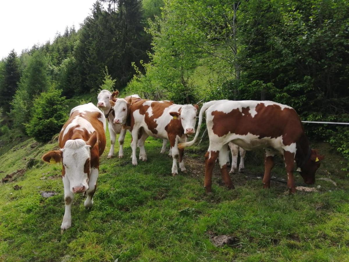 Vila Hintergugg Mittersill Exteriér fotografie