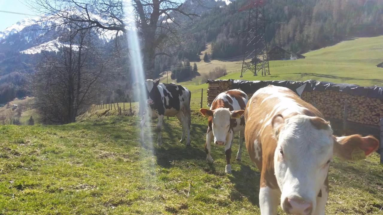 Vila Hintergugg Mittersill Exteriér fotografie